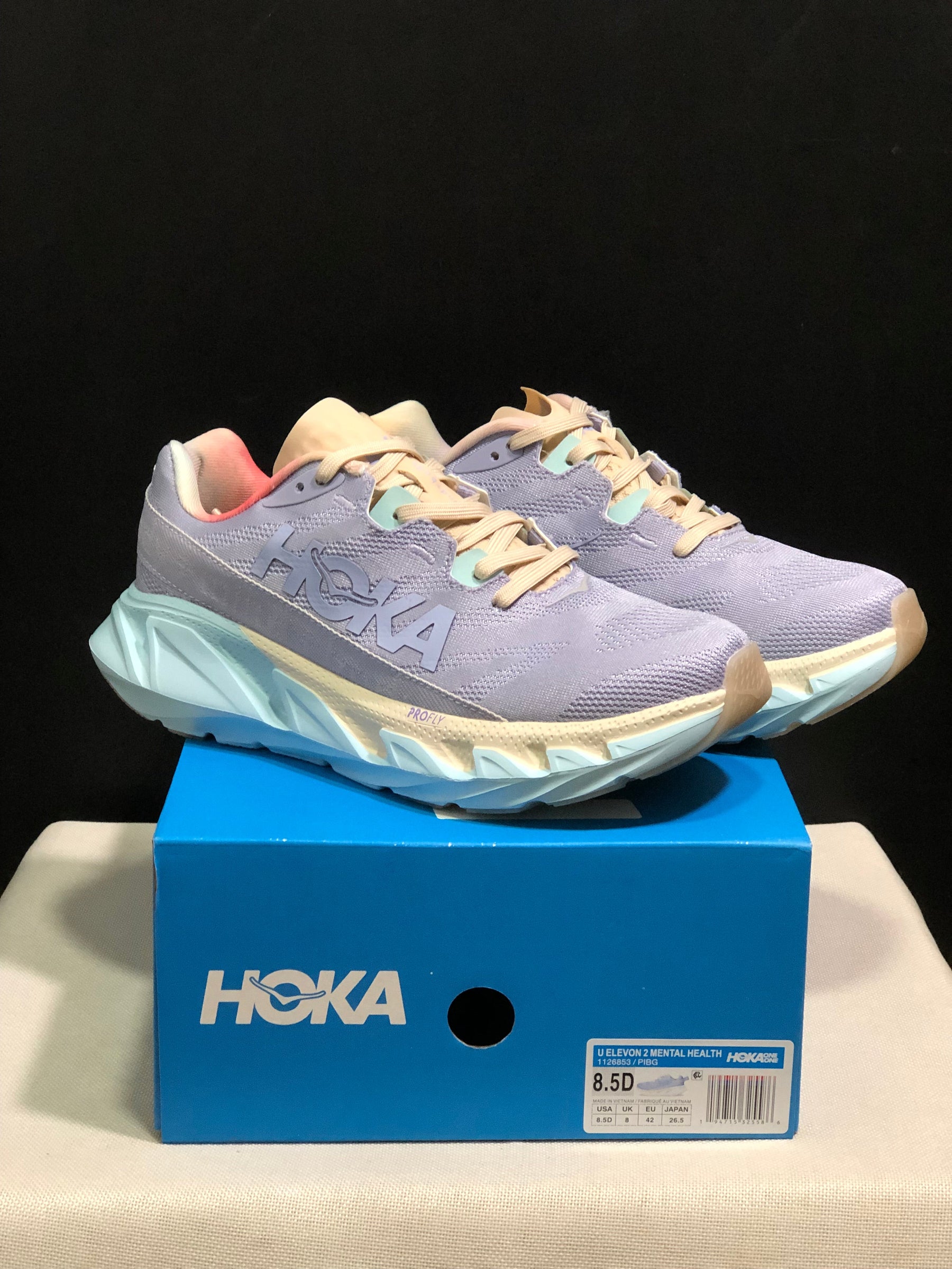 Hoka Elevon 2 Mental Health