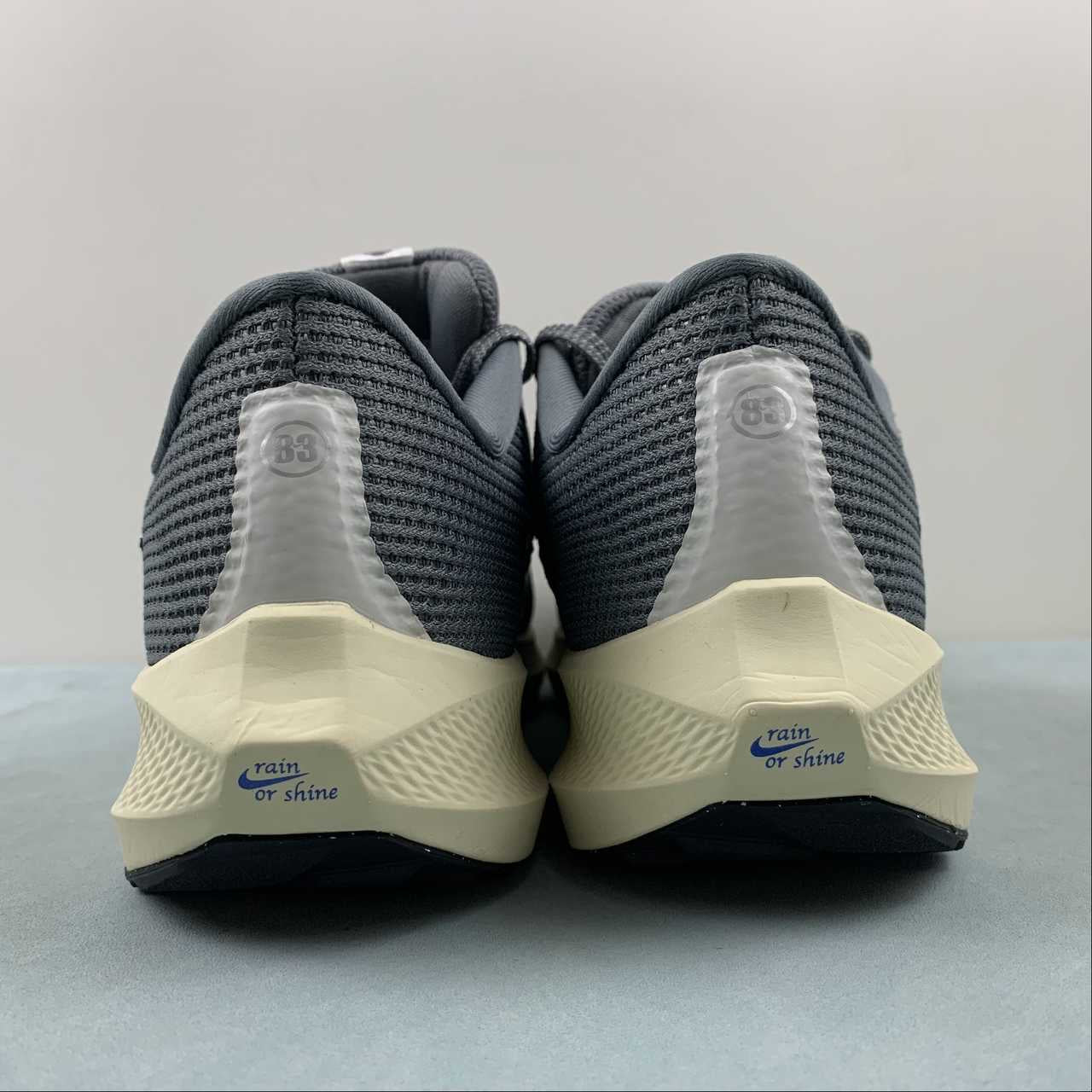 Nike Air Zoom Pegasus 40