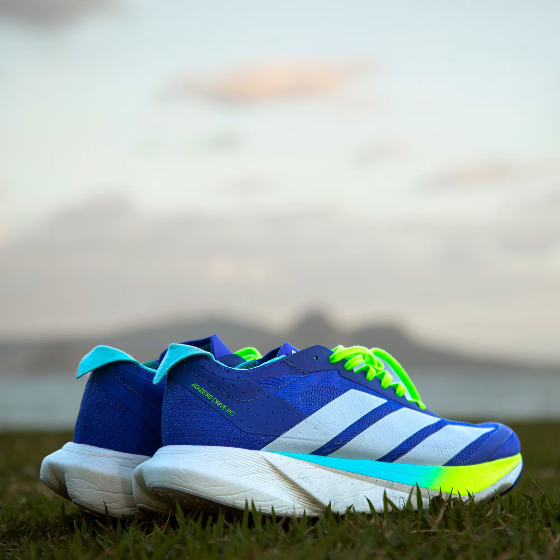 Adidas Adizero Drive RC