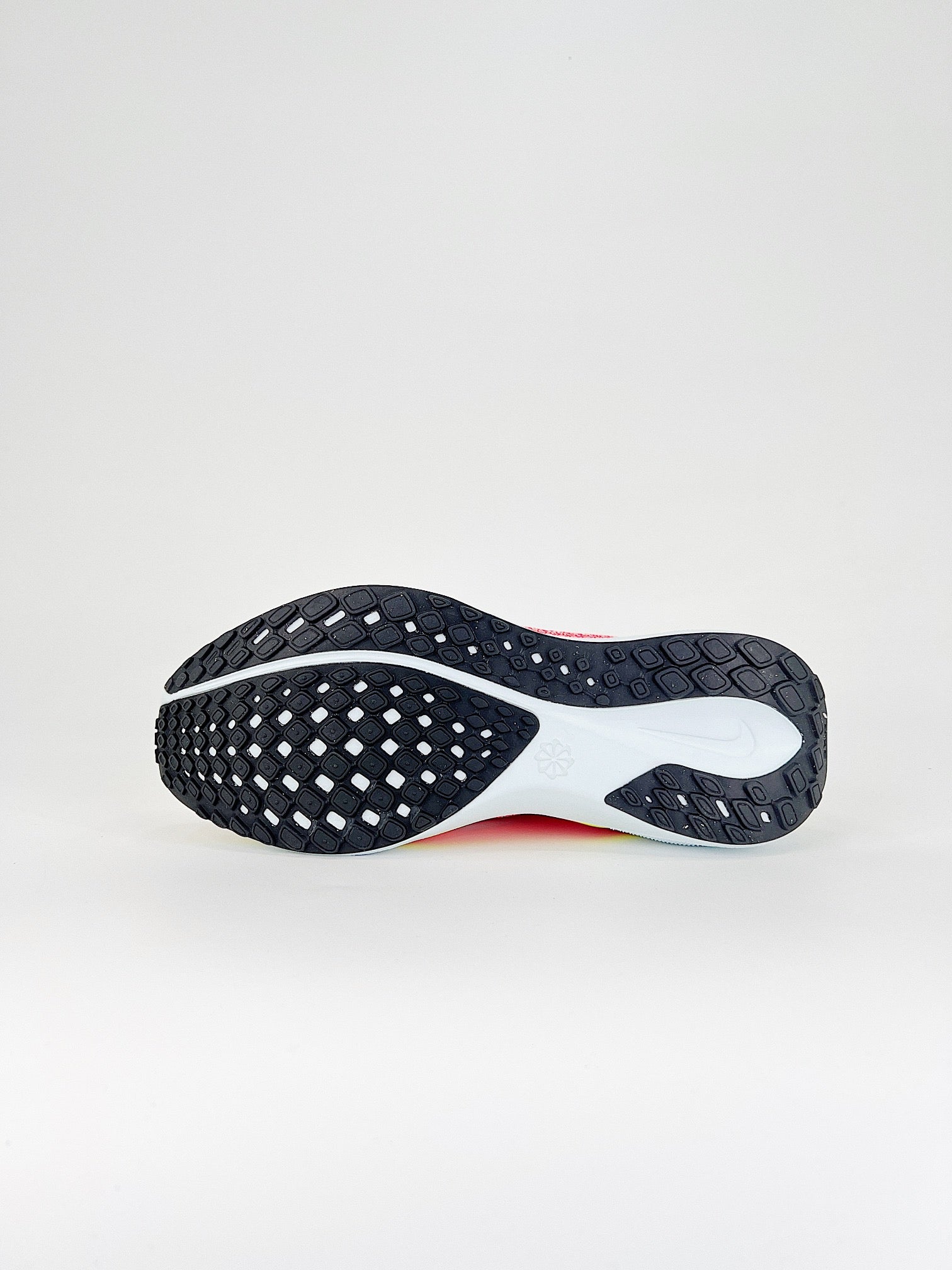 Nike Pegasus 41