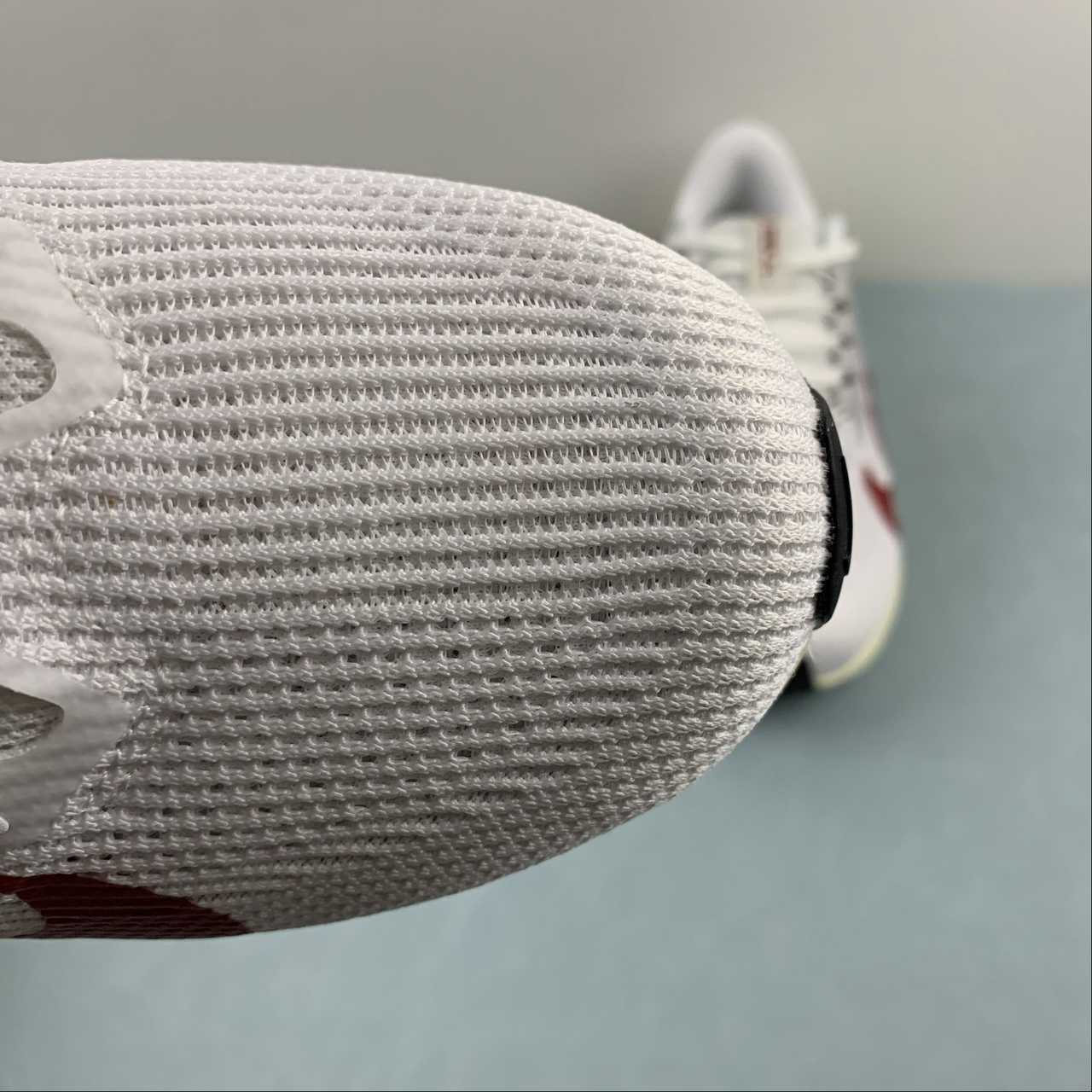 Nike Air Zoom Pegasus 40