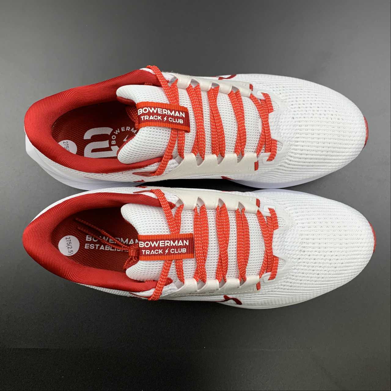 Nike Air Zoom Pegasus 40