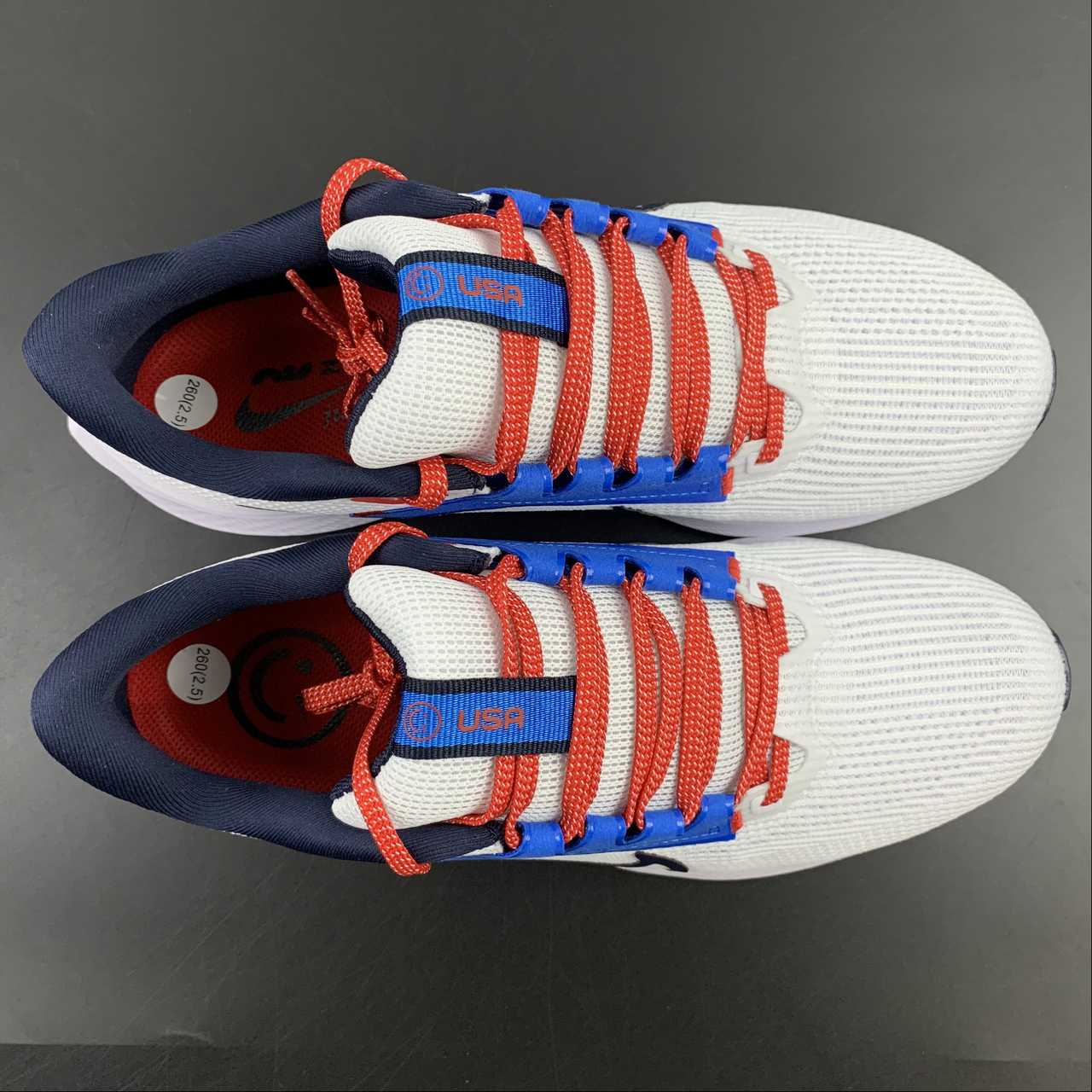 Nike Air Zoom Pegasus 40