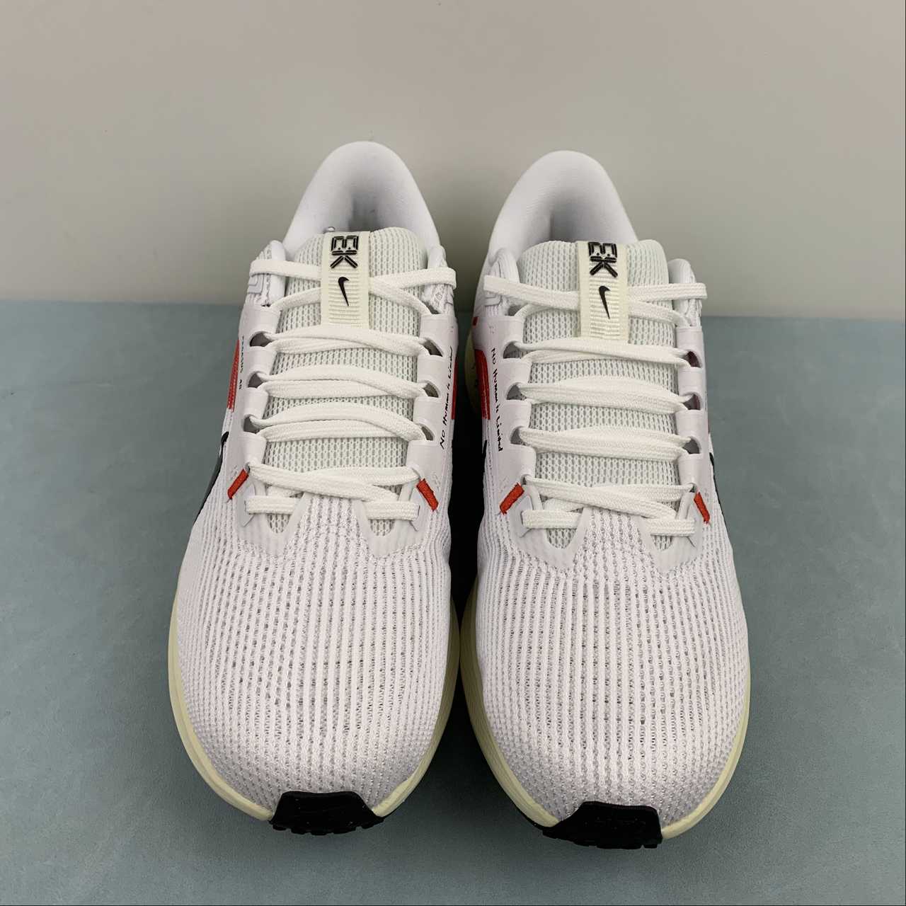 Nike Air Zoom Pegasus 40