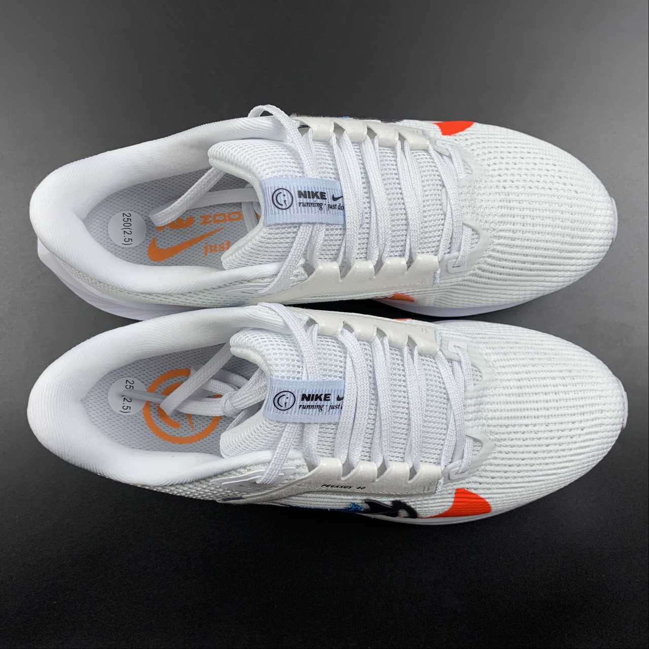 Nike Air Zoom Pegasus 40