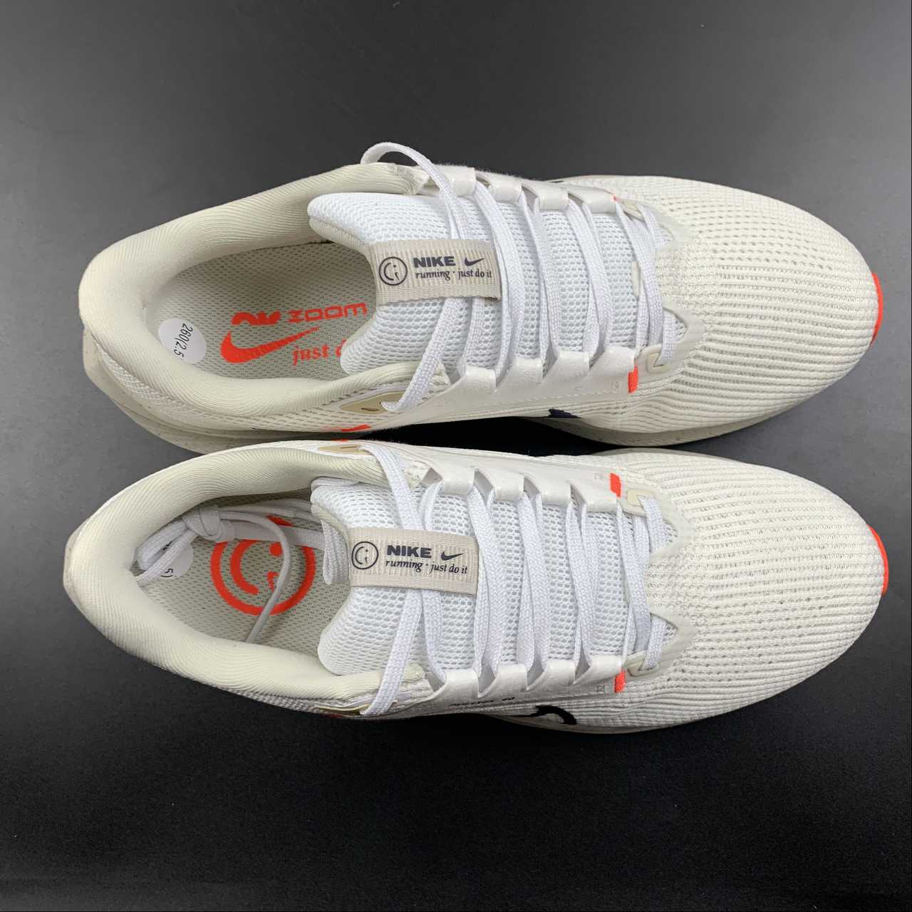 Nike Air Zoom Pegasus 40