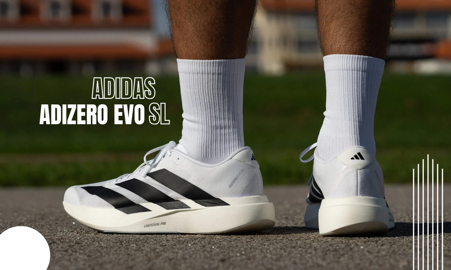 Adidas Adizero Evo SL