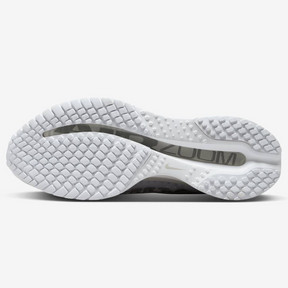 Nike Pegasus Premium - Branco/Cinza