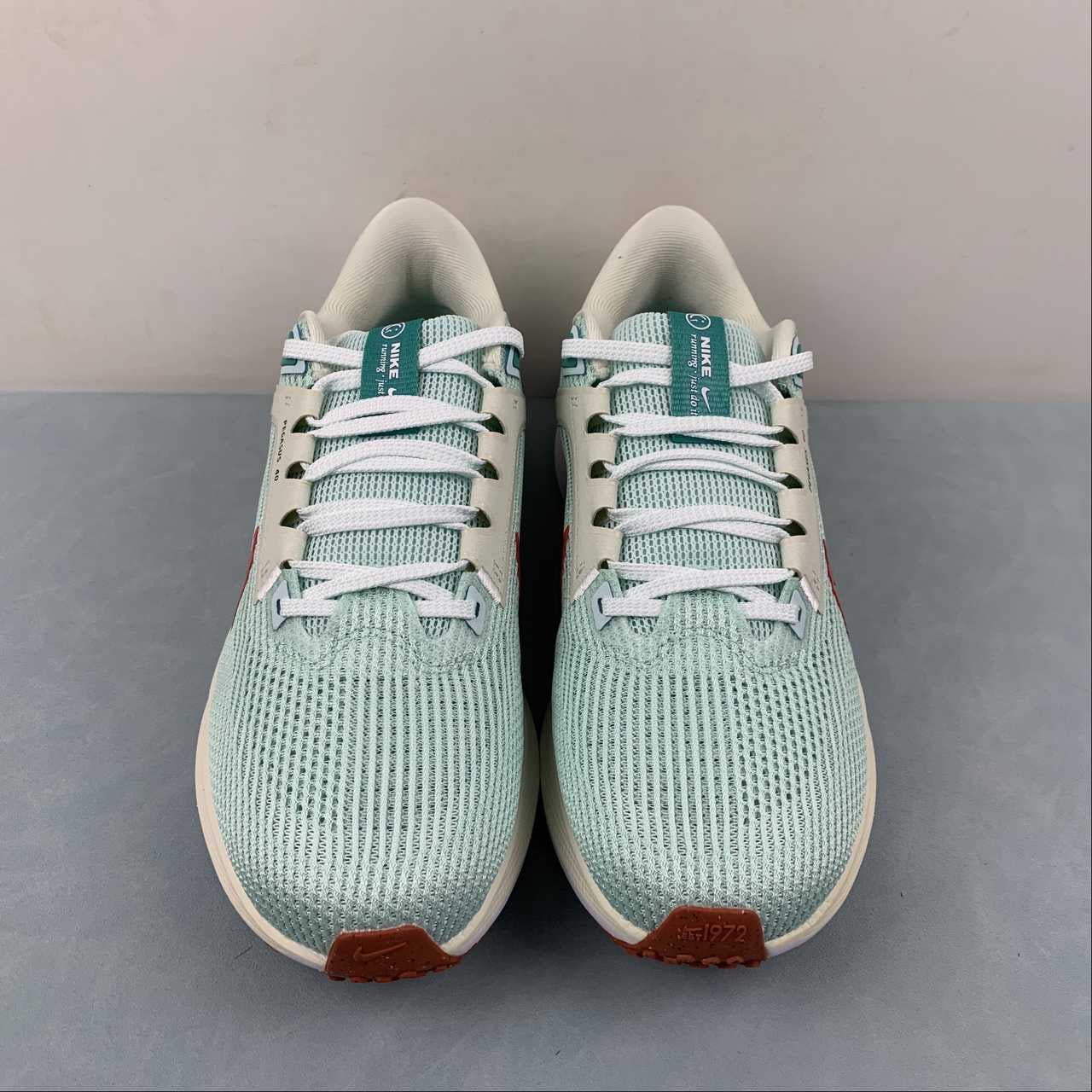 Nike Air Zoom Pegasus 40