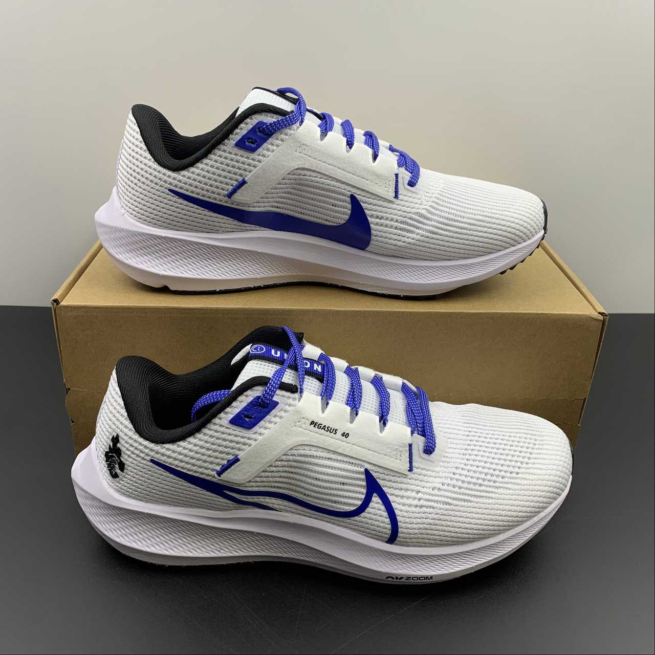 Nike Air Zoom Pegasus 40
