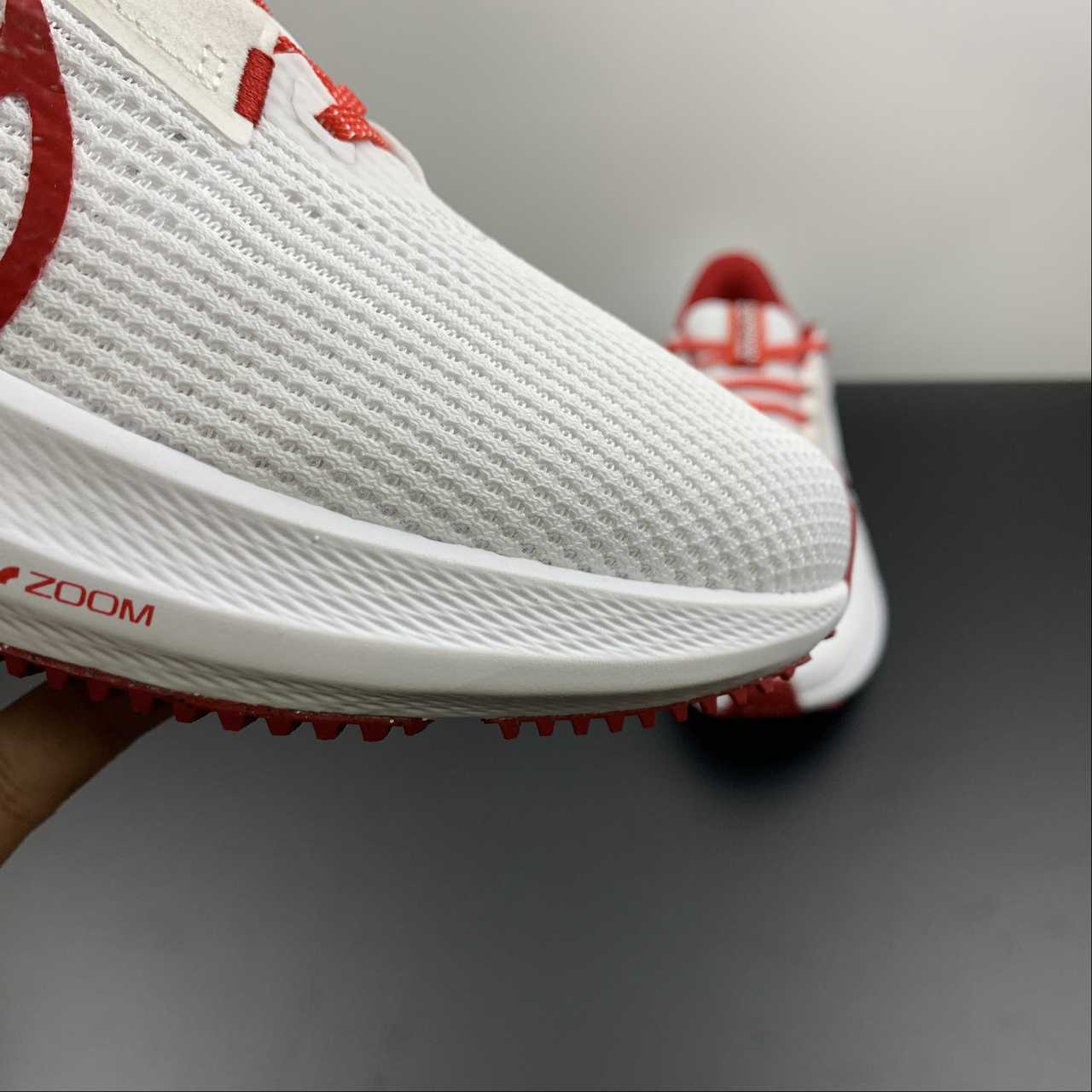 Nike Air Zoom Pegasus 40