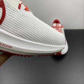 Nike Air Zoom Pegasus 40