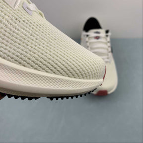 Nike Air Zoom Pegasus 40