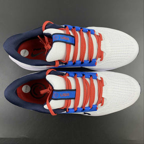 Nike Air Zoom Pegasus 40