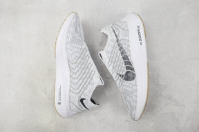 Pegasus Turbo Next Nature