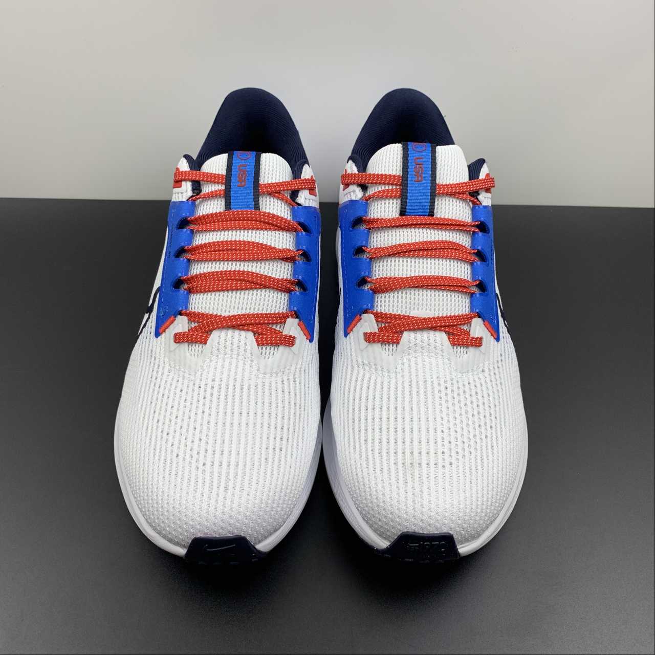 Nike Air Zoom Pegasus 40