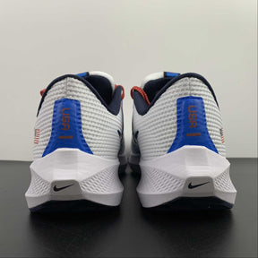 Nike Air Zoom Pegasus 40